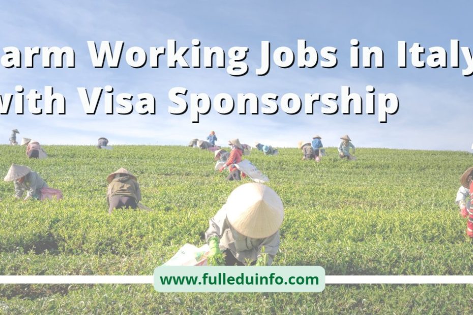 Farm Working Jobs in Italy with Visa Sponsorship