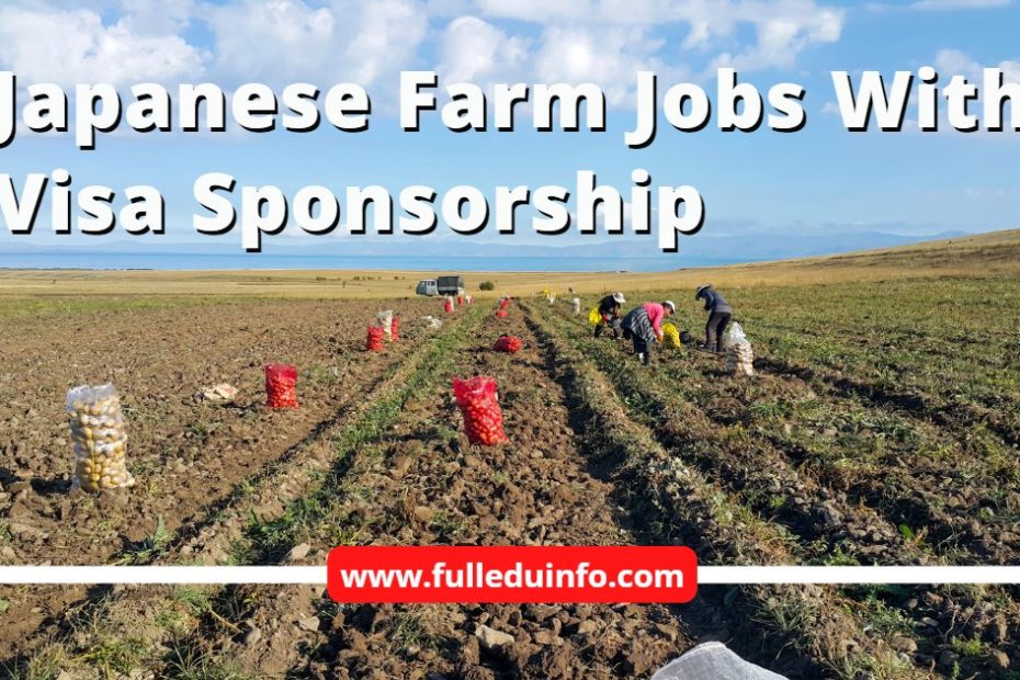 Japanese Farming Jobs With Visa Sponsorship