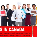 15 Jobs In Canada For International Workers Jobs In Canada For International Workers